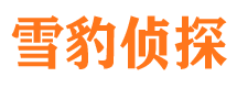 海珠外遇出轨调查取证